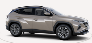 HYUNDAI TUCSON 1.6 HEV 2wd 230cv Xline Automatica Noleggio Lungo Termine - Solorent.it