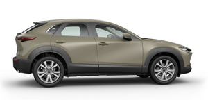 MAZDA CX-30 2.5L Skyactiv-G 140cv M Hybr Centre Line Manuale Noleggio Lungo Termine