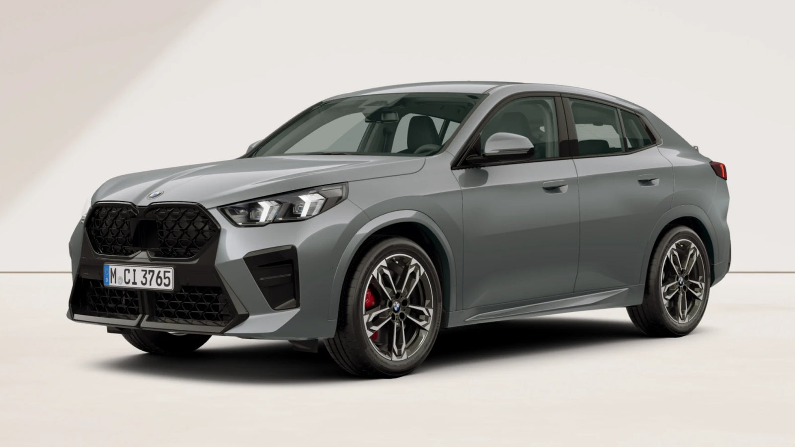 BMW X2 sDrive18d M Sport Pro noleggio lungo termine - Storm Bay